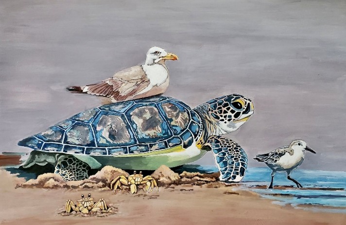 Picture of Sea Turtle and birds at shore line