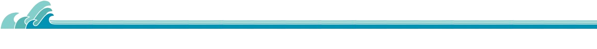 BayAgingLineSeparator